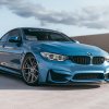 A resident of Germany hijacked his own BMW, which had previously stolen from him
