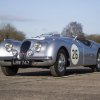 Gentlemen with claws: Great racing jaguar