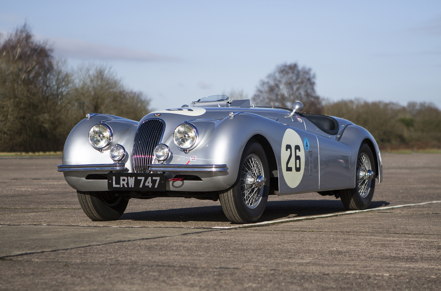 Gentlemen with claws: Great racing jaguar
