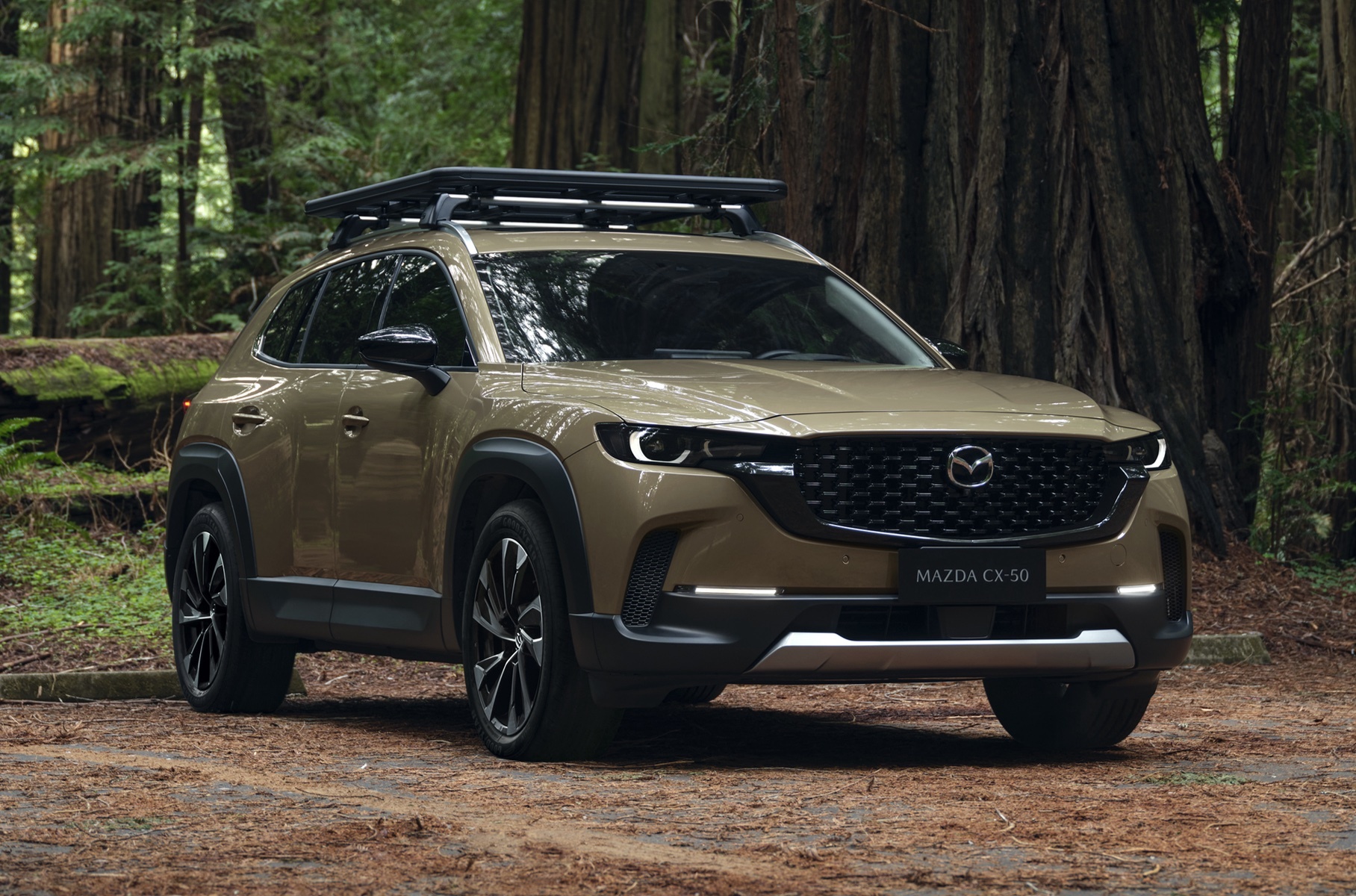 Mazda will return to Russia in a new format already in 2025