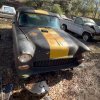A graveyard of muscle cars from the 60s rusting in the open air has been discovered in the United States.