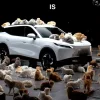 Omoda tested the sound insulation of the new crossover with the help of dozens of cats