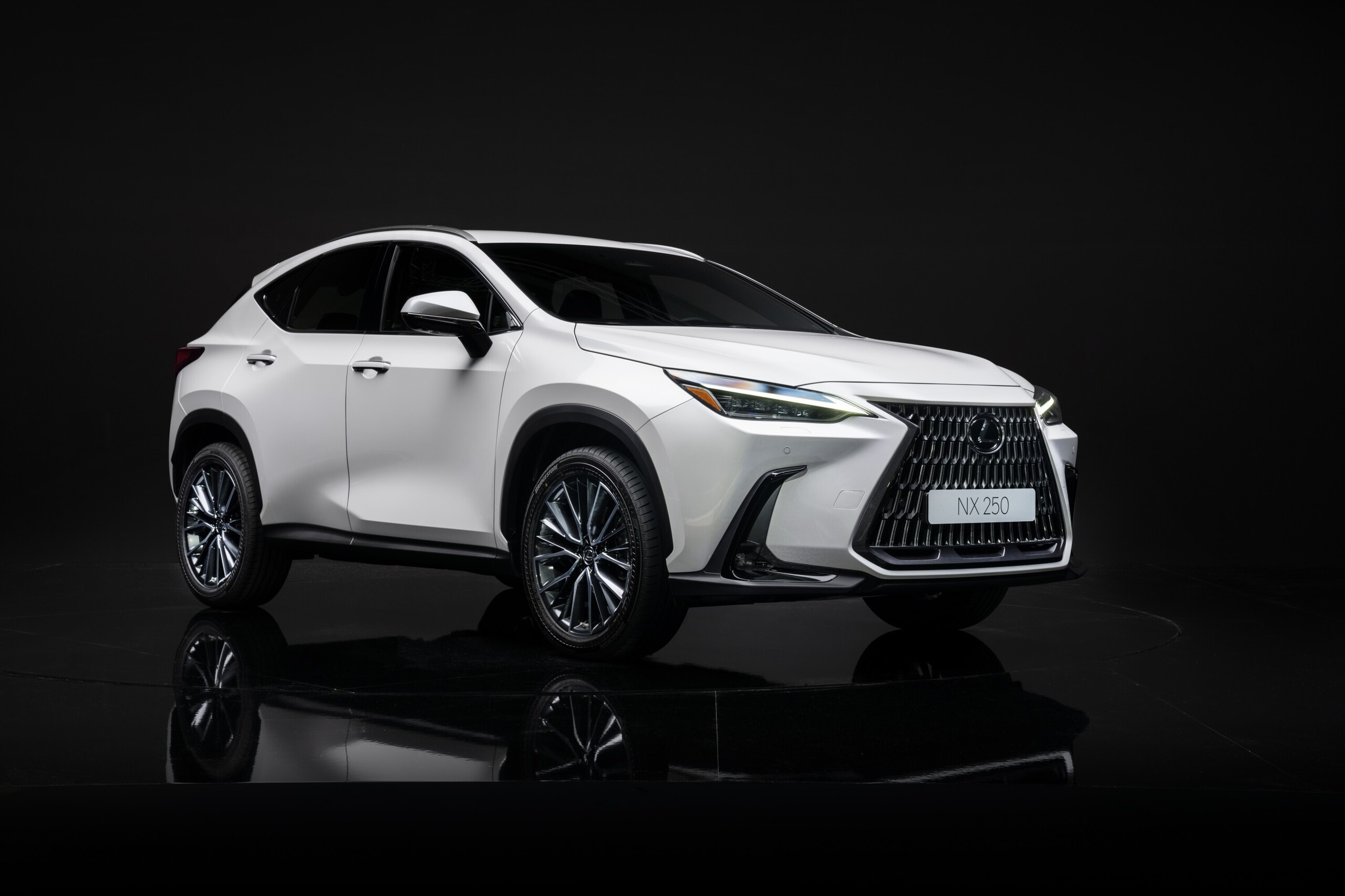 Japanese-assembled Lexus NX crossover received Russian OTTS