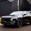 Sales of Venucia cars have ceased on the Russian market