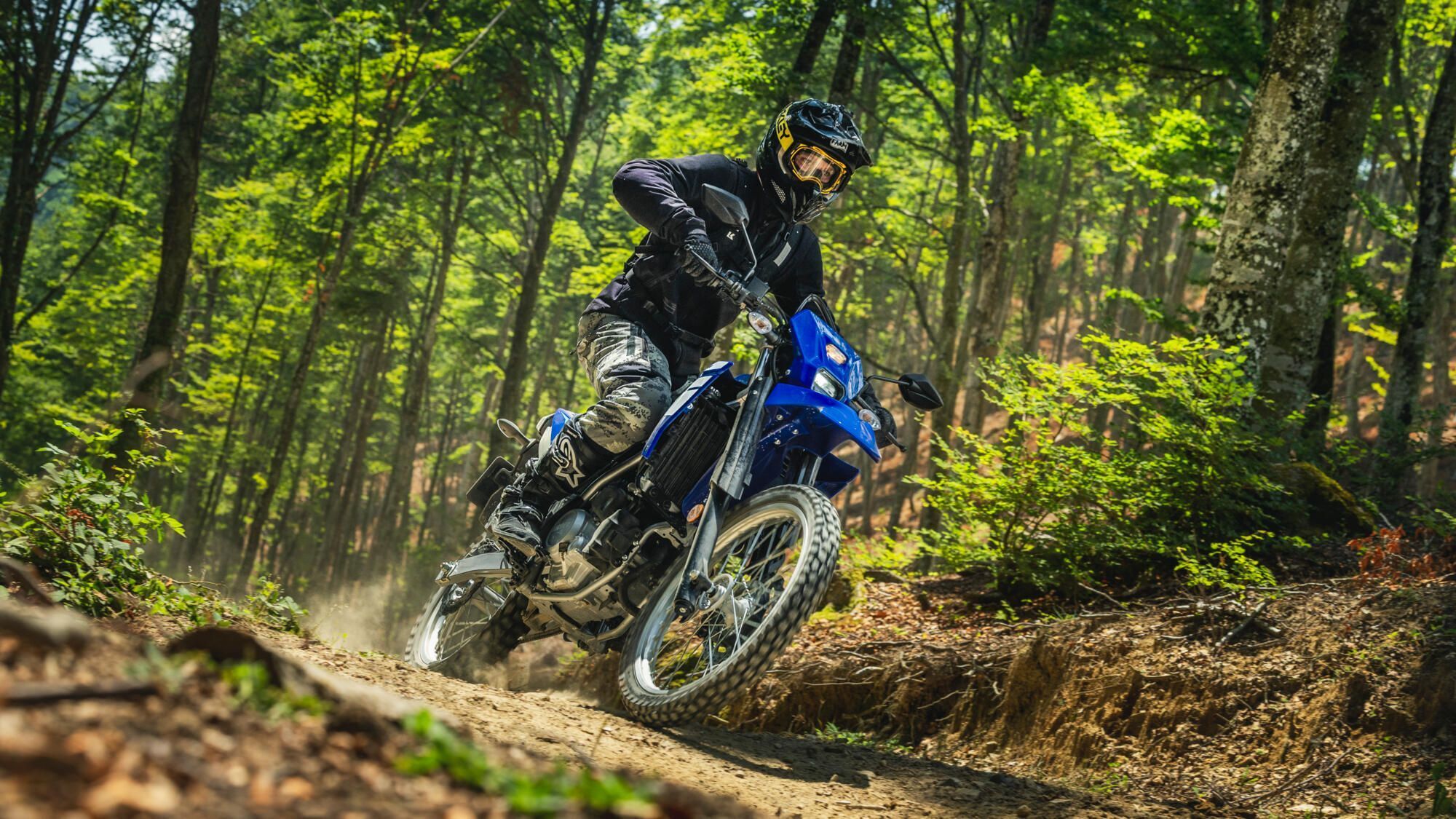 Topspeed has listed the 10 best motorcycles for off-road and asphalt