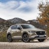 Autostat named 5 bestsellers of gray imports in the Russian Federation