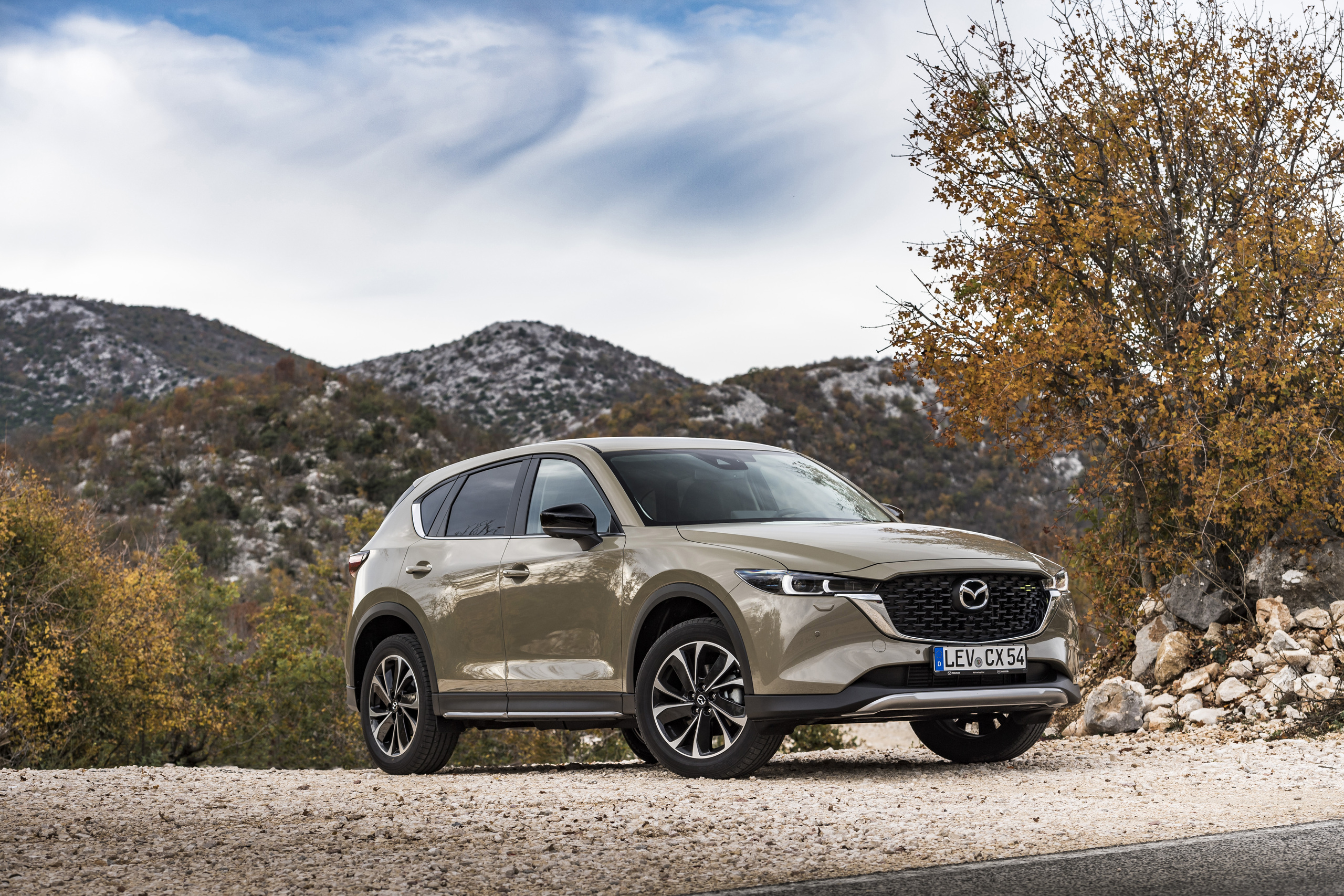 Autostat named 5 bestsellers of gray imports in the Russian Federation