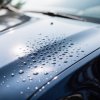 Avilon listed 4 factors that destroy paint on used cars