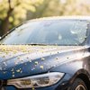 Drivers named four risk factors for pollen allergies
