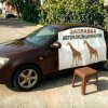 Threatened with repairs: serviceman Chmelev said that car air conditioner refillers on the road make 3 mistakes