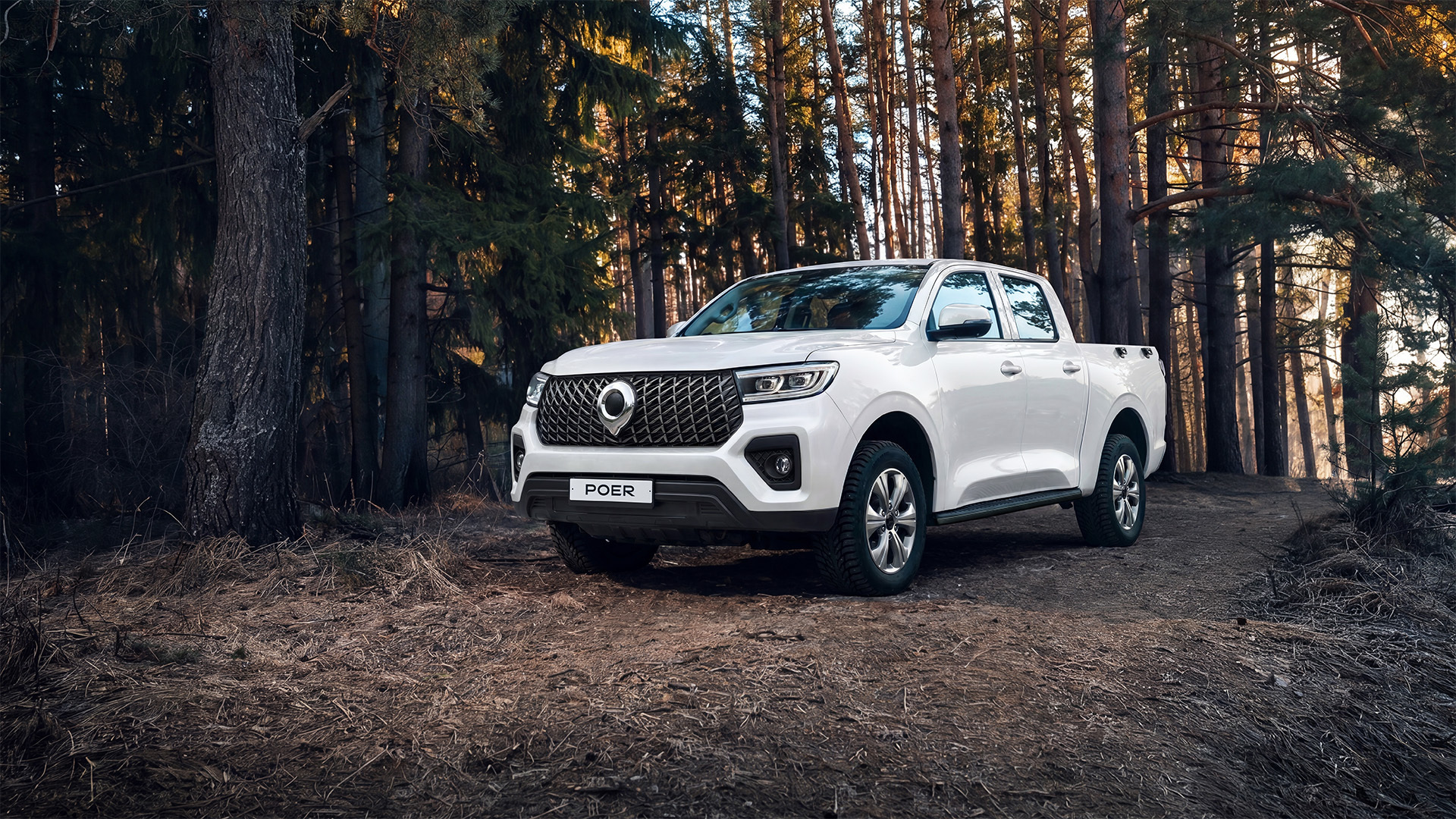 A cheap version of the Great Wall Poer pickup will appear in Russia