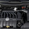In Germany, martens damaged half a million cars